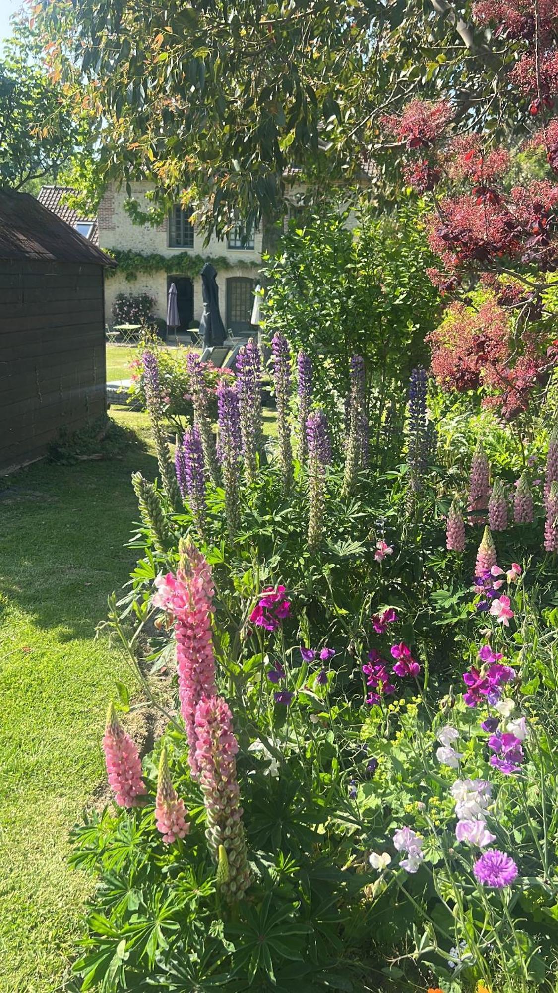 La Maison D'Aline - Honfleur - Maison D'Hote De Charme A La Normande Pennedepie Værelse billede