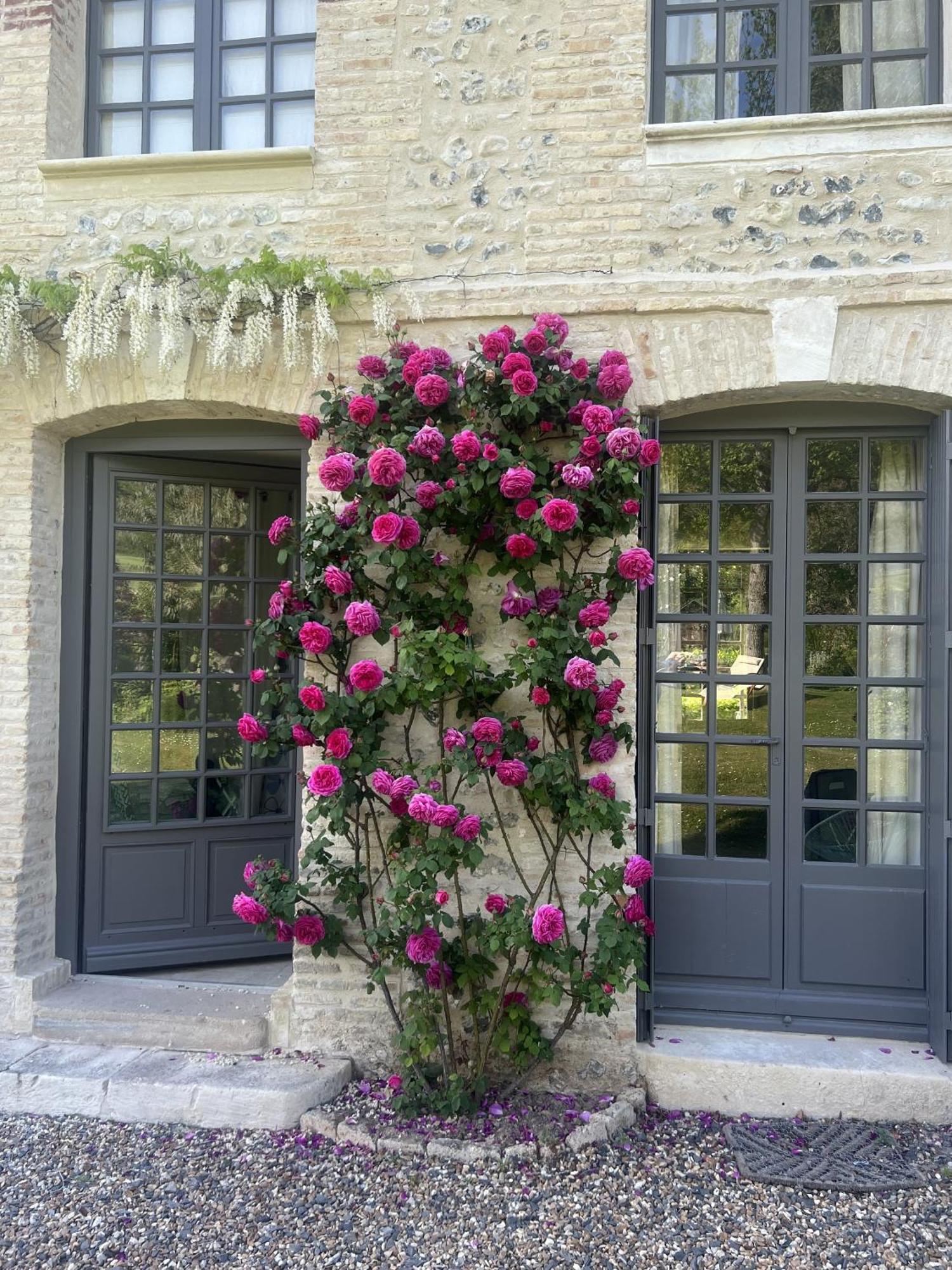 La Maison D'Aline - Honfleur - Maison D'Hote De Charme A La Normande Pennedepie Eksteriør billede